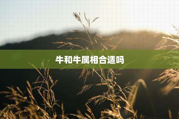 牛和牛属相合适吗
