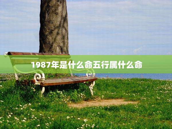 1987年是什么命五行属什么命