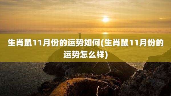 生肖鼠11月份的运势如何(生肖鼠11月份的运势怎么样)