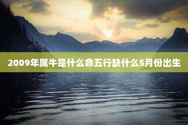 2009年属牛是什么命五行缺什么5月份出生
