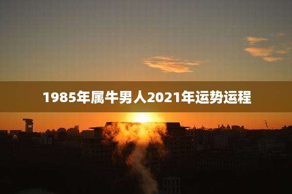 1985年属牛男人2021年运势运程
