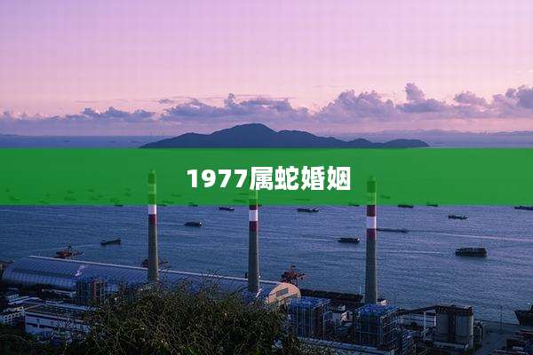 1977属蛇婚姻