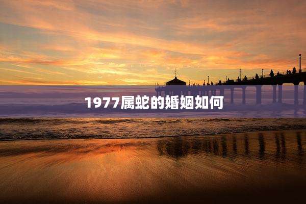 1977属蛇的婚姻如何