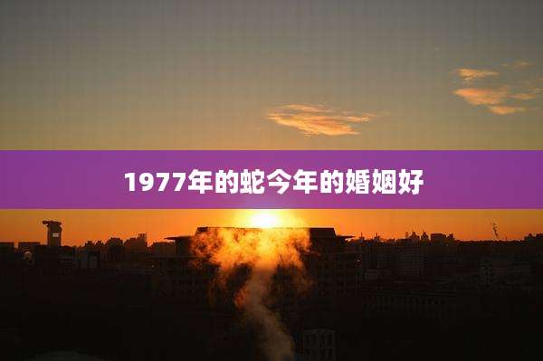 1977年的蛇今年的婚姻好