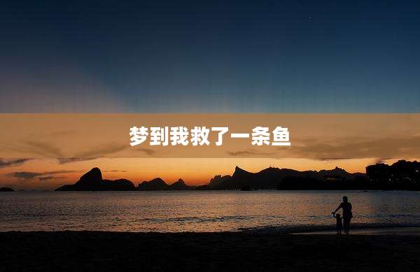梦到我救了一条鱼