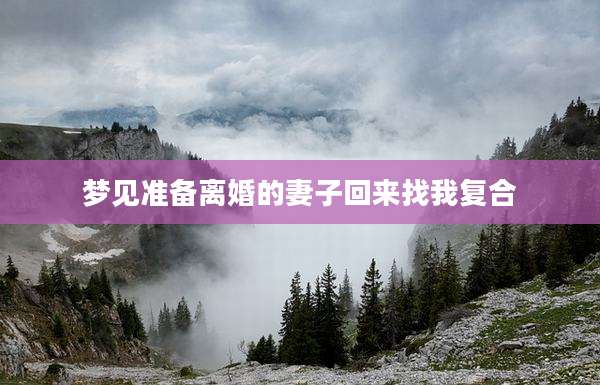 梦见准备离婚的妻子回来找我复合