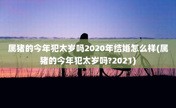 属猪的今年犯太岁吗2020年结婚怎么样(属猪的今年犯太岁吗?2021)