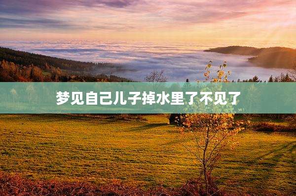 梦见自己儿子掉水里了不见了