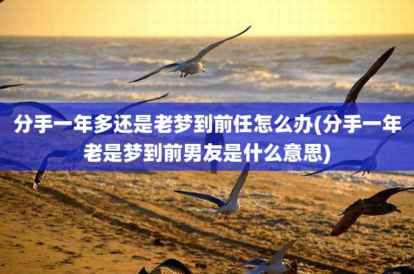 分手一年多还是老梦到前任怎么办(分手一年老是梦到前男友是什么意思)