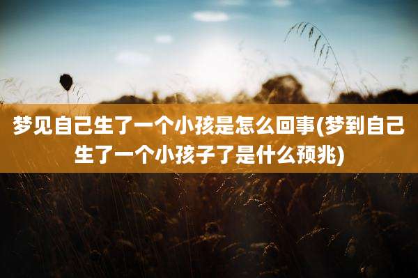 梦见自己生了一个小孩是怎么回事(梦到自己生了一个小孩子了是什么预兆)