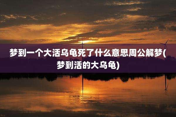 梦到一个大活乌龟死了什么意思周公解梦(梦到活的大乌龟)