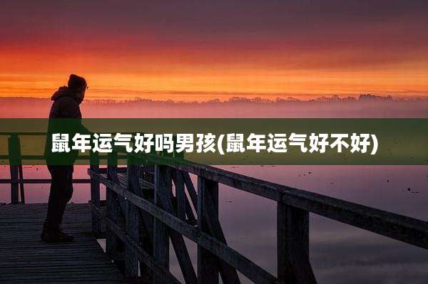 鼠年运气好吗男孩(鼠年运气好不好)