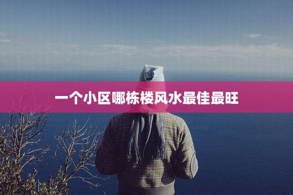 一个小区哪栋楼风水最佳最旺