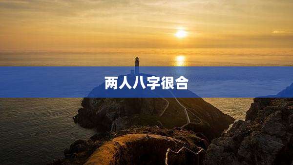 两人八字很合