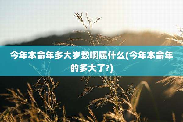今年本命年多大岁数啊属什么(今年本命年的多大了?)