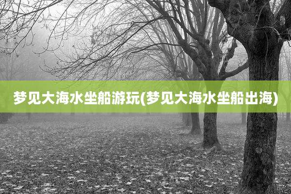梦见大海水坐船游玩(梦见大海水坐船出海)