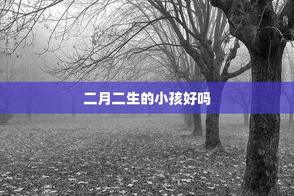 二月二生的小孩好吗