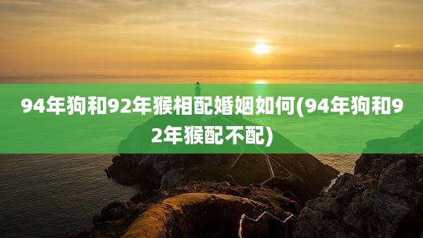 94年狗和92年猴相配婚姻如何(94年狗和92年猴配不配)