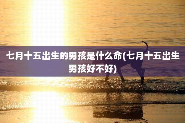 七月十五出生的男孩是什么命(七月十五出生男孩好不好)