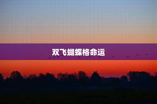 双飞蝴蝶格命运