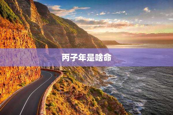 丙子年是啥命