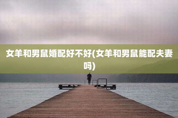 女羊和男鼠婚配好不好(女羊和男鼠能配夫妻吗)