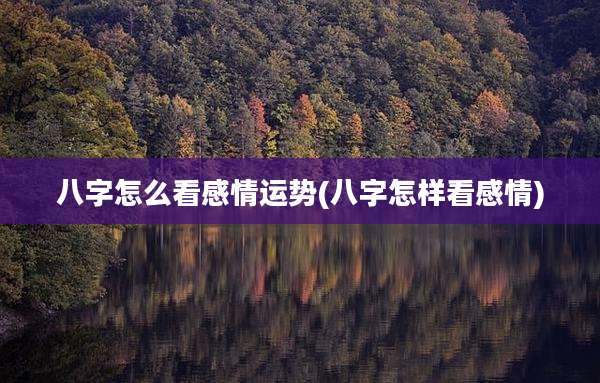 八字怎么看感情运势(八字怎样看感情)