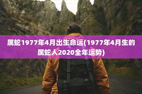 属蛇1977年4月出生命运(1977年4月生的属蛇人2020全年运势)
