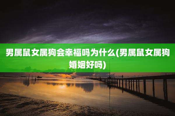 男属鼠女属狗会幸福吗为什么(男属鼠女属狗婚姻好吗)