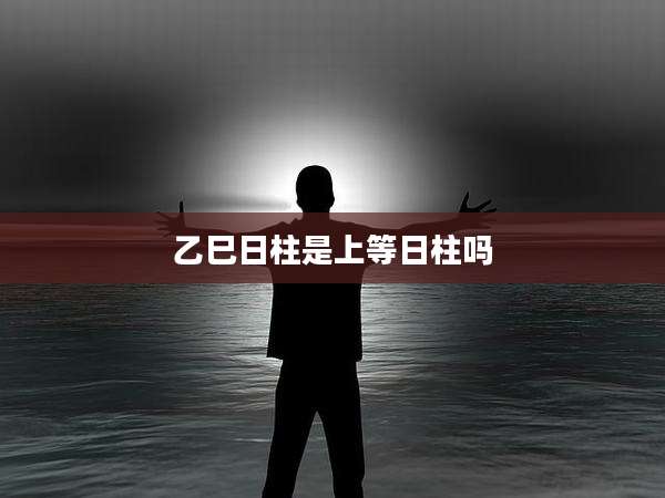 乙巳日柱是上等日柱吗