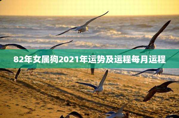 82年女属狗2021年运势及运程每月运程