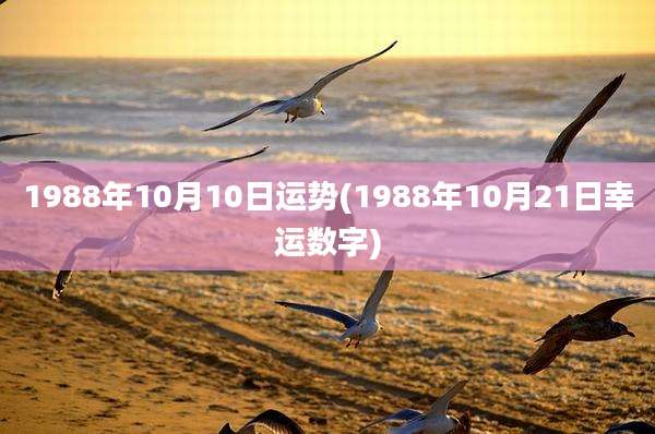 1988年10月10日运势(1988年10月21日幸运数字)