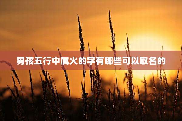 男孩五行中属火的字有哪些可以取名的