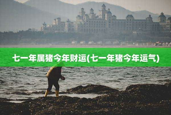 七一年属猪今年财运(七一年猪今年运气)