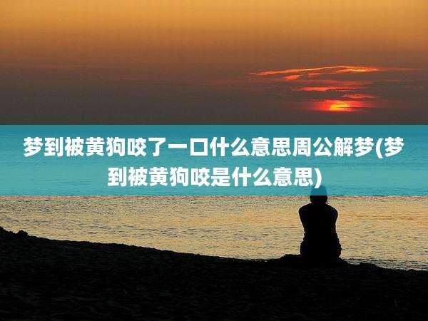梦到被黄狗咬了一口什么意思周公解梦(梦到被黄狗咬是什么意思)