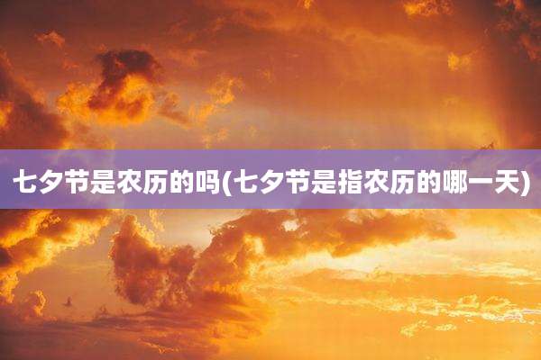 七夕节是农历的吗(七夕节是指农历的哪一天)