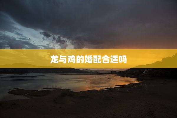 龙与鸡的婚配合适吗