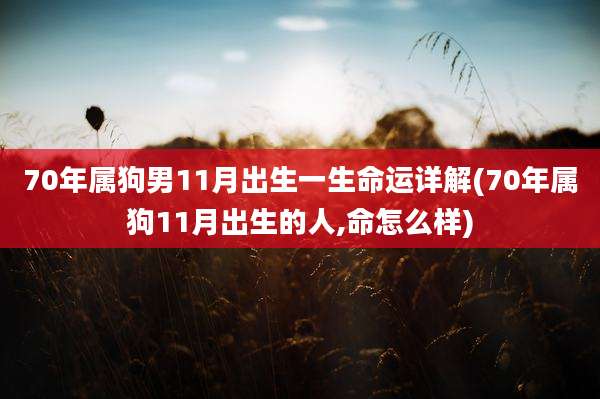 70年属狗男11月出生一生命运详解(70年属狗11月出生的人,命怎么样)