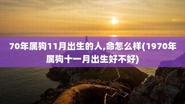 70年属狗11月出生的人,命怎么样(1970年属狗十一月出生好不好)