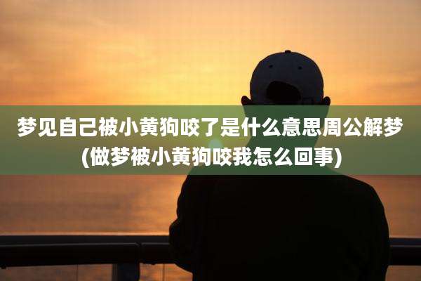 梦见自己被小黄狗咬了是什么意思周公解梦(做梦被小黄狗咬我怎么回事)