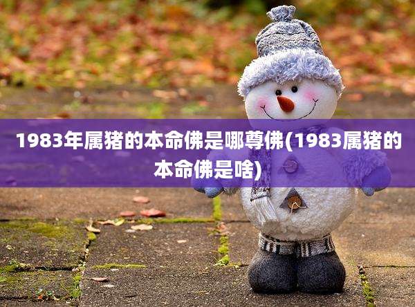 1983年属猪的本命佛是哪尊佛(1983属猪的本命佛是啥)