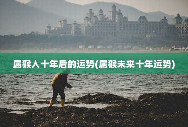 属猴人十年后的运势(属猴未来十年运势)