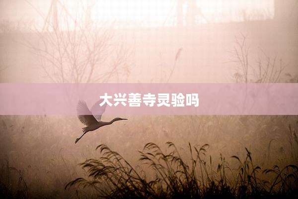 大兴善寺灵验吗