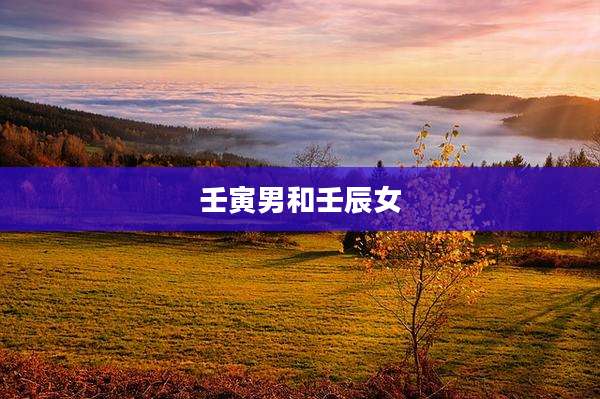 壬寅男和壬辰女