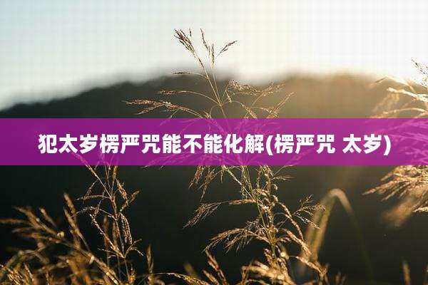 犯太岁楞严咒能不能化解(楞严咒 太岁)