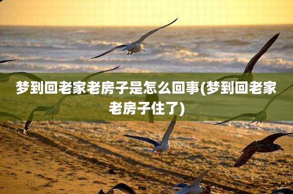梦到回老家老房子是怎么回事(梦到回老家老房子住了)