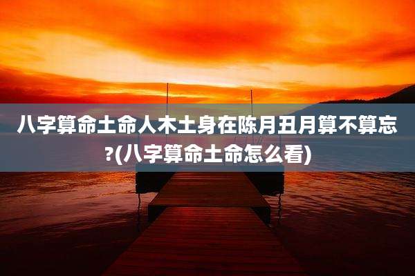 八字算命土命人木土身在陈月丑月算不算忘?(八字算命土命怎么看)