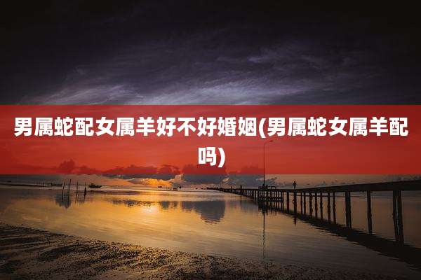 男属蛇配女属羊好不好婚姻(男属蛇女属羊配吗)