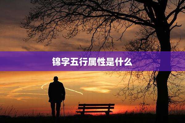 锦字五行属性是什么