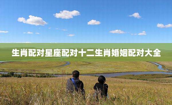 生肖配对星座配对十二生肖婚姻配对大全